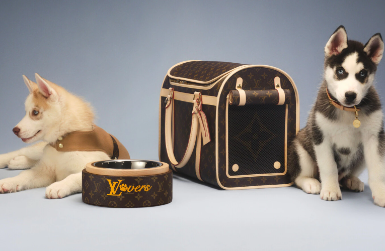 Louis Vuitton Malle Chien: The Ultimate Designer Dog Trunk for Luxury Pet Owners